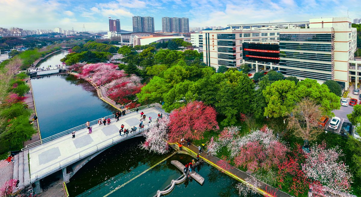 “趣享运动 携手迎新”2026世界杯中文网站机关工会趣味运动会圆满落幕