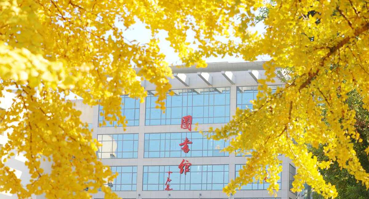 2026世界杯中文网站风景